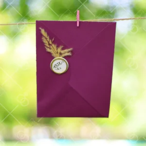 کارت عروسی قیمت مناسب مدل Ando